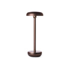 Air Indoor/Outdoor Portable Table Lamp