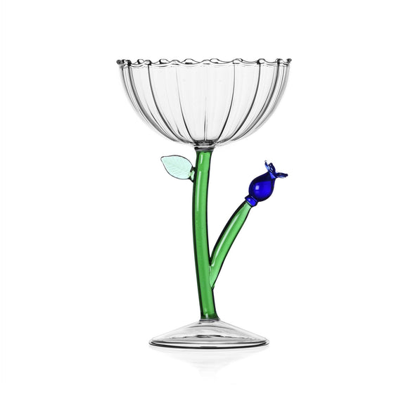 Botanica Optical Champagne Bowl (Set of 6)