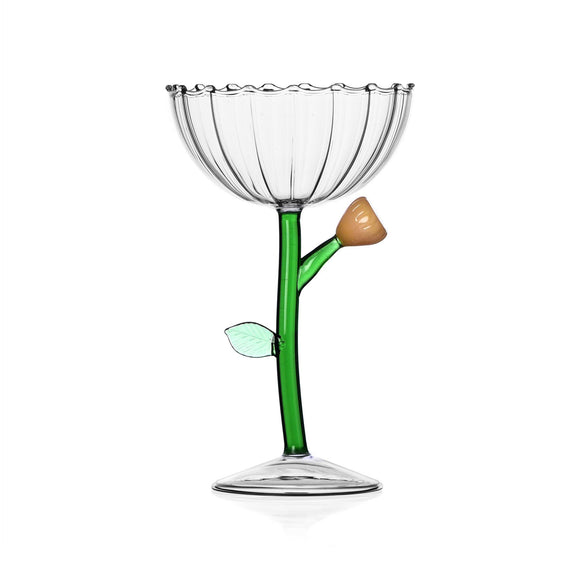 Botanica Optical Champagne Bowl (Set of 6)