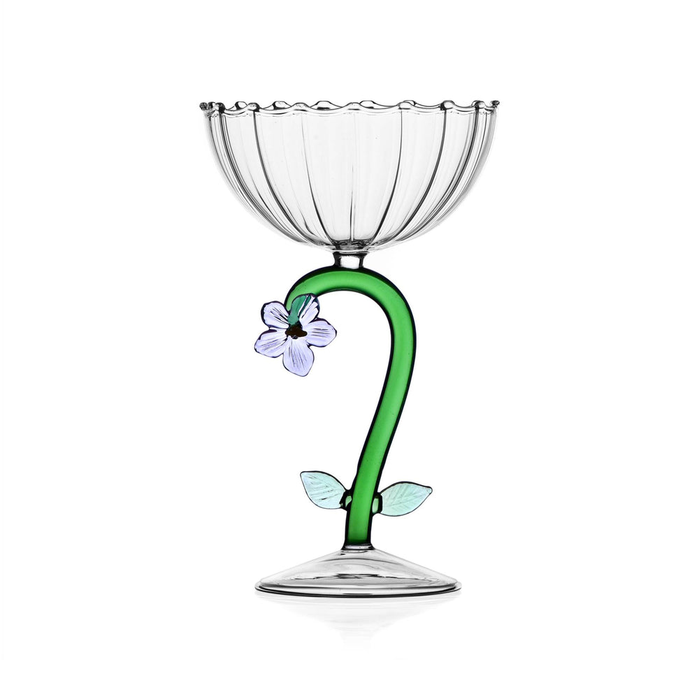Botanica Optical Champagne Bowl (Set of 6)