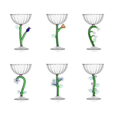 Botanica Optical Champagne Bowl (Set of 6)