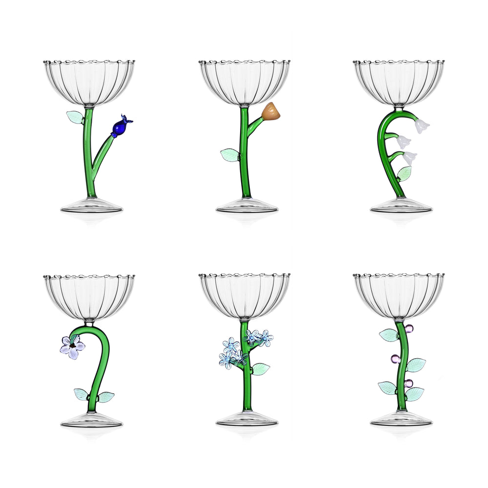 Botanica Optical Champagne Bowl (Set of 6)