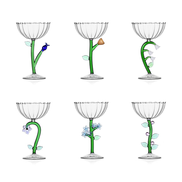 Botanica Optical Champagne Bowl (Set of 6)
