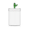 Desert Plant Cactus Box  option Green