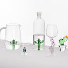 Desert Plants Cactus Jug