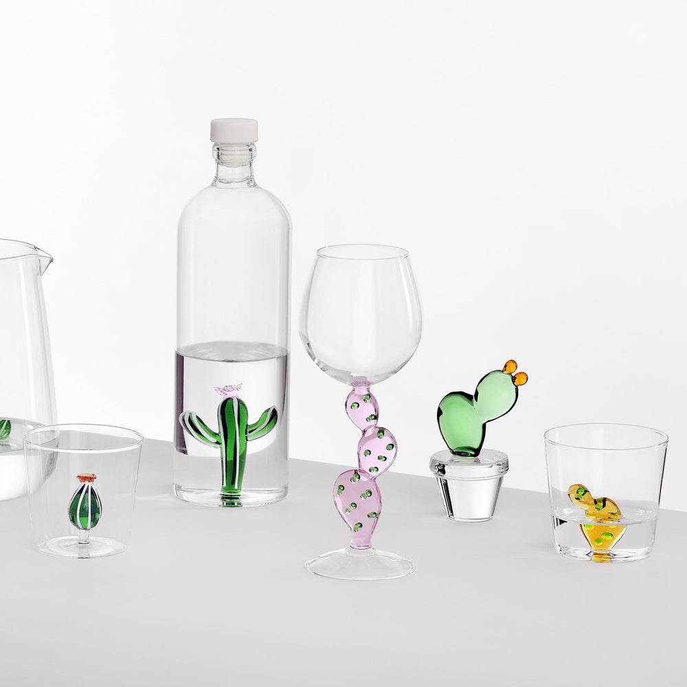 Desert Plants Tumbler (Set of 6)