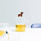 Dogs Dachshund Mug with Lid