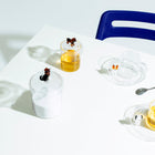 Dogs Dachshund Mug with Lid