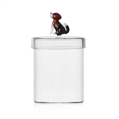 Dogs English Foxhound Box