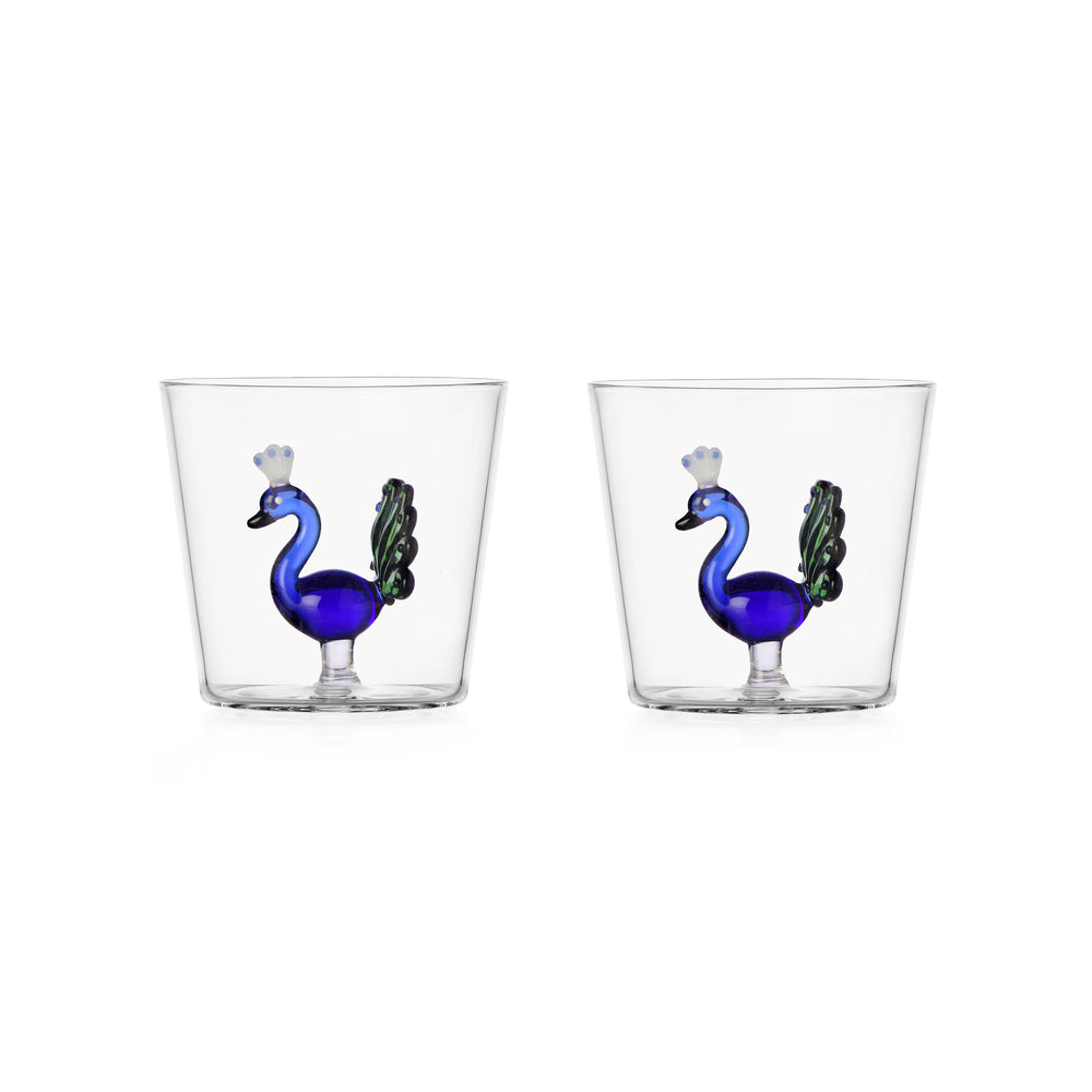 Exotic Bird Tumbler (Set of 2)