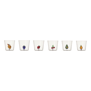 Fruits & Flowers Assorted Tumbler (Set of 6)