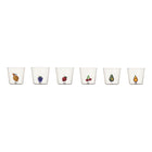 Fruits & Flowers Assorted Tumbler (Set of 6)