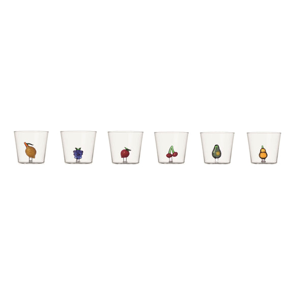 Fruits & Flowers Assorted Tumbler (Set of 6)
