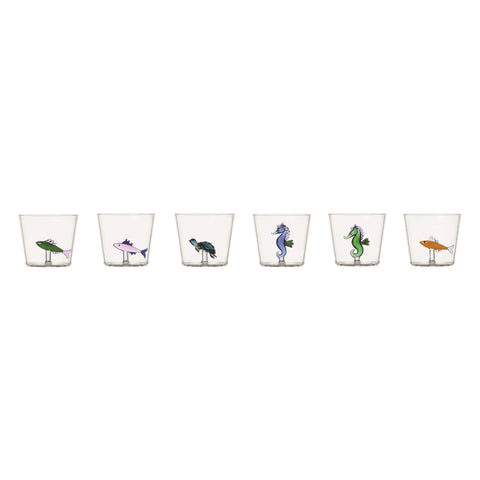Marine Garden Assorted Tumbler (Set of 6)