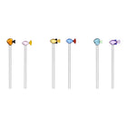 Marine Garden Straw (Set of 6)