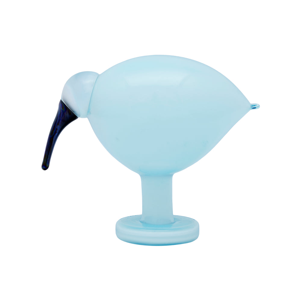 Bbt Ibis