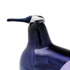 Bbt Oriol Annual Bird 2025