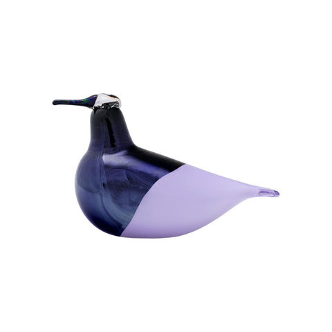 Bbt Oriol Annual Bird 2025