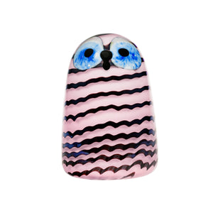 Bbt Owlet
