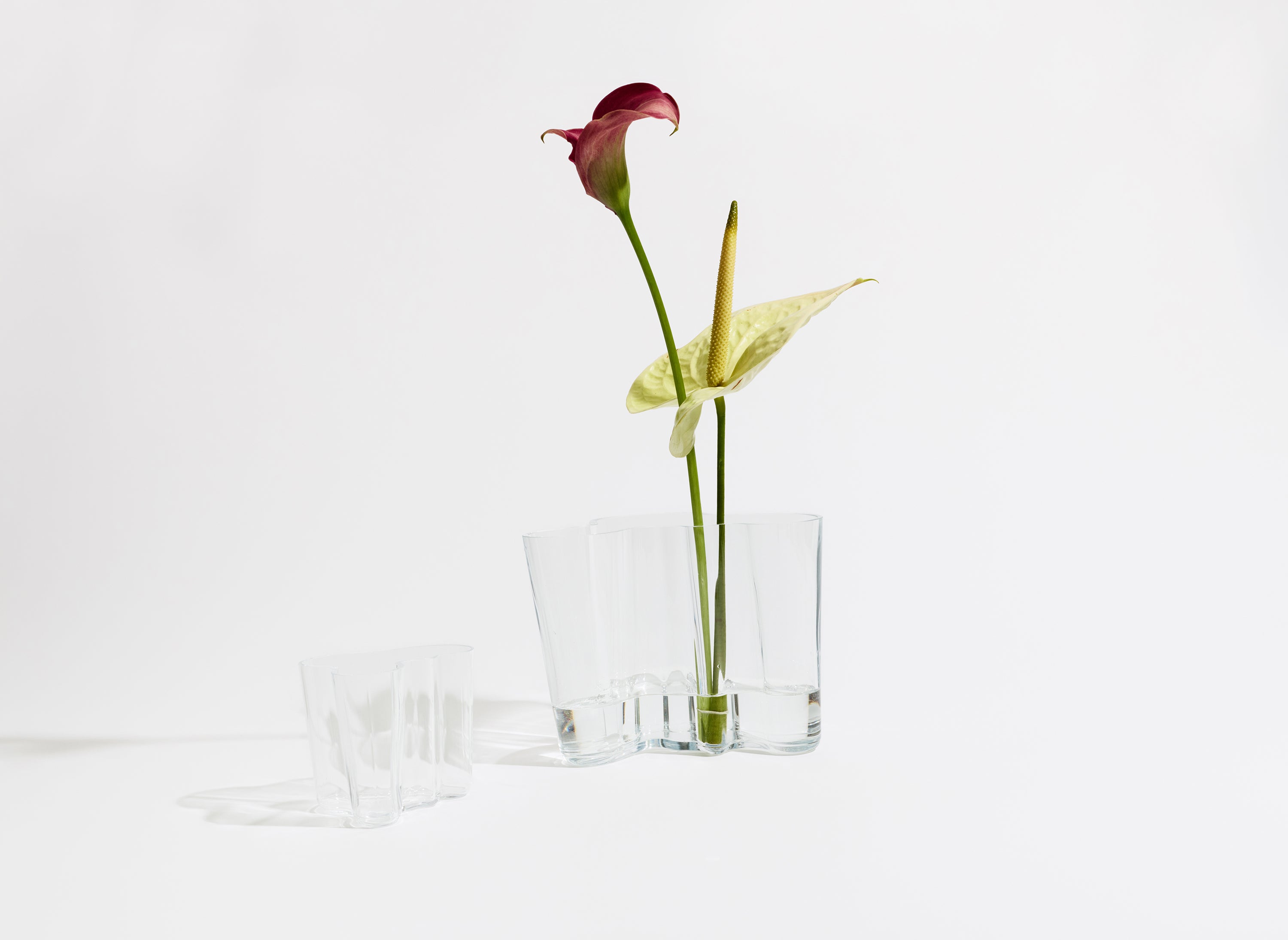 iittala Aalto Vase - 2Modern