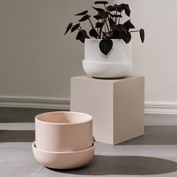 Plant Pot with Saucer