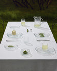 Ultima Thule Plate