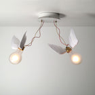 Lucellino Doppio LED Wall/Ceiling Light