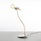 Lucellino LED Table Lamp