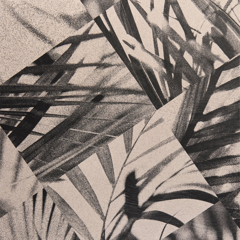 Palm Shadow Wall Art