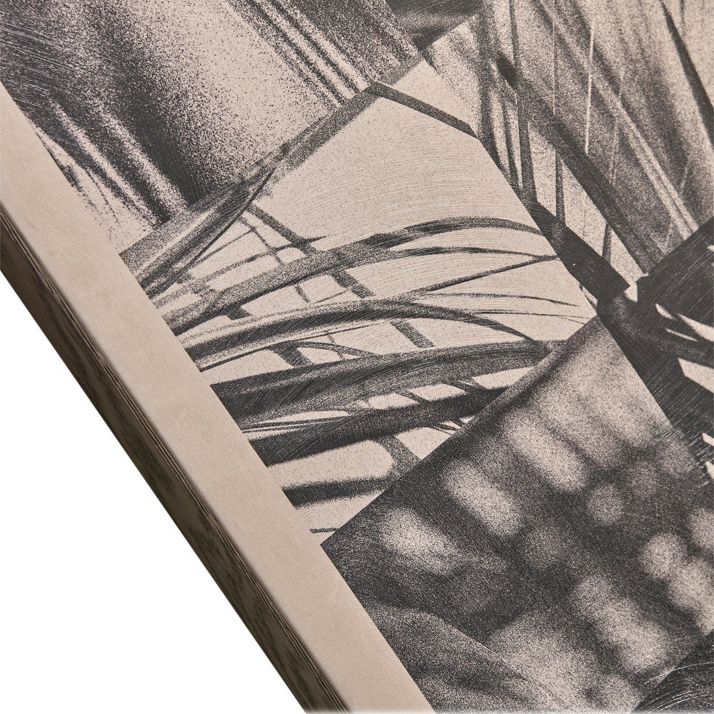Palm Shadow Wall Art