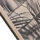 Palm Shadow Wall Art