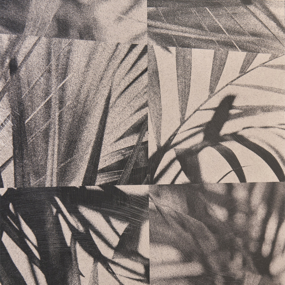 Palm Shadow Wall Art