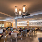 Cell Pendant Light