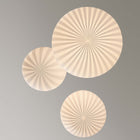 Circus C Pendant Light