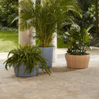 Corteza Outdoor Planter
