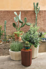 Corteza Outdoor Side Table