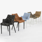 Eleganza Nia Dining Armchair
