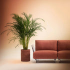 Kleo Outdoor Cachepot