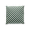 Liberty Obi Check Outdoor Pillow  option Sage
