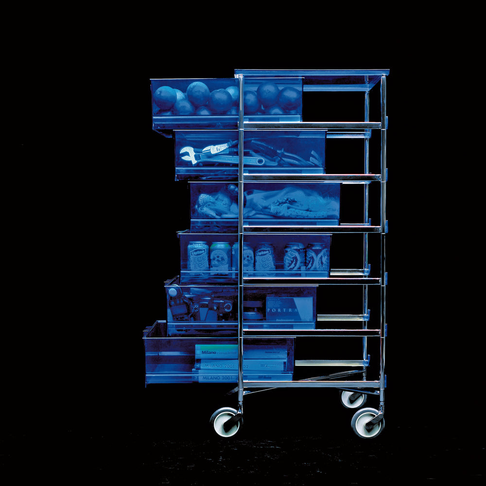 Mobil Storage Container with Wheels