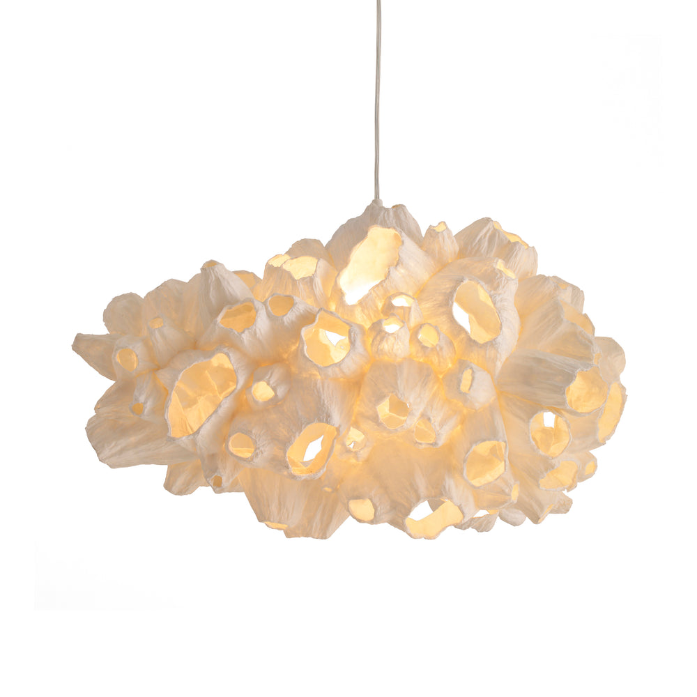 Barnacle Pendant Light