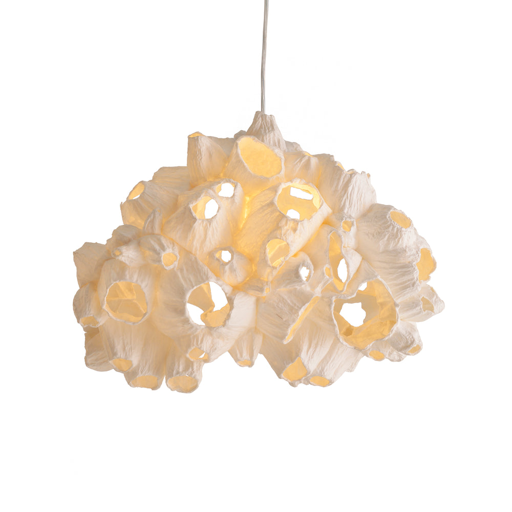 Barnacle Pendant Light