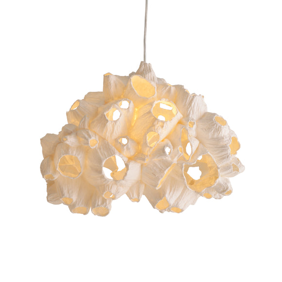 Barnacle Pendant Light