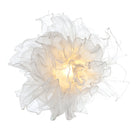 Fandango Pendant Light