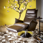 Star Adjustable Recliner