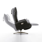 Swan Adjustable Recliner