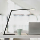 Foccacia LED Desk Lamp