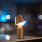 Guy Outdoor Portable LED Lantern