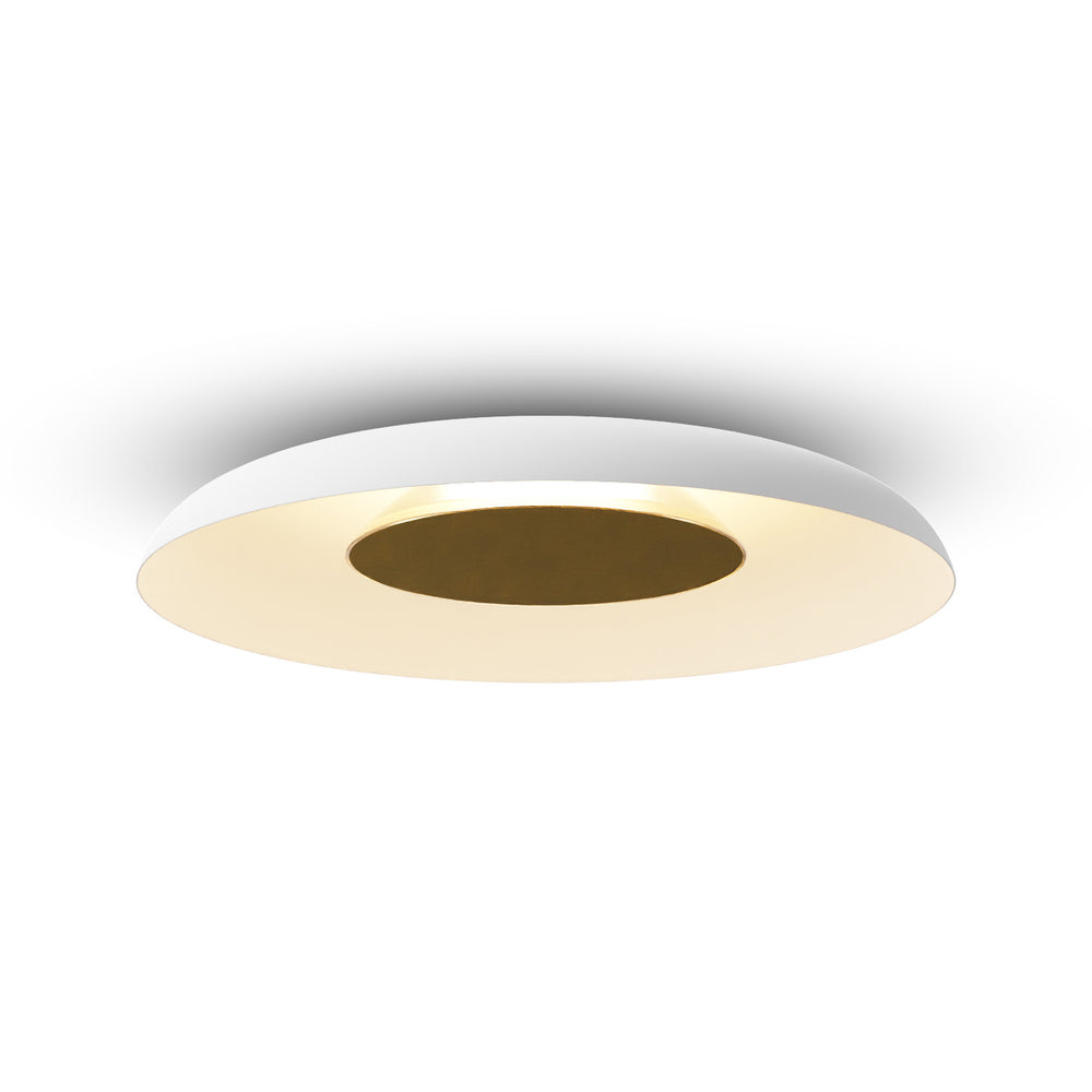 Ramen Wall/Ceiling Light
