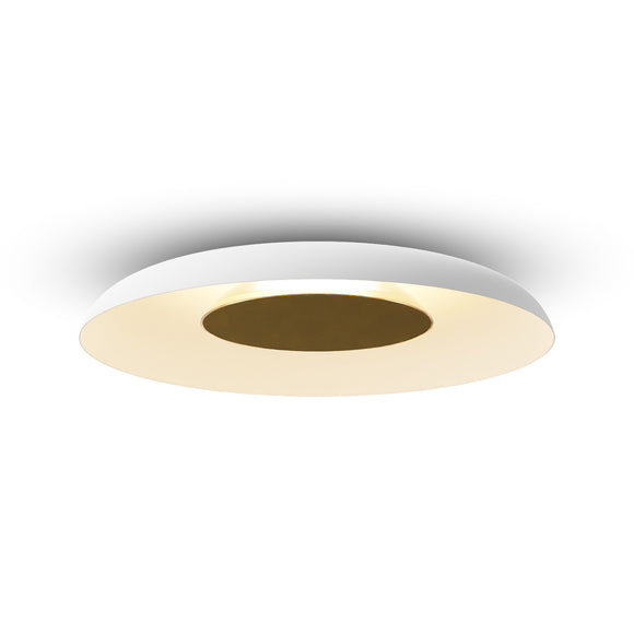 Ramen Wall/Ceiling Light